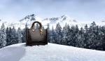 Christian Dior Large Lady Alligator