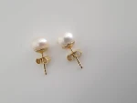 Süsswasserperlen mit Goldstecker