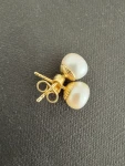 Süsswasserperlen mit Goldstecker