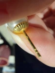 Süsswasserperlen mit Goldstecker
