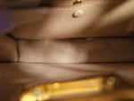 FENDI Pickaboo