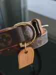 Louis Vuitton Hunde Halsband