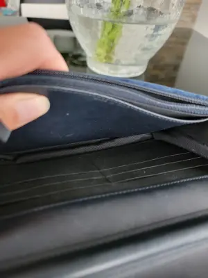 Chanel WOC | LOOP Marketplace