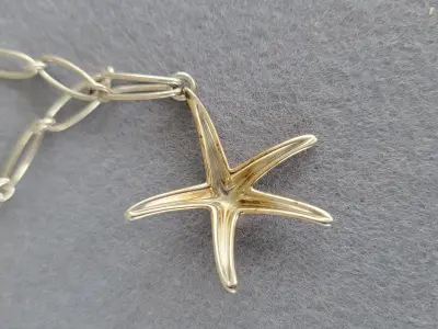 Tiffany & Co. Seestern Halskette | LOOP Marketplace
