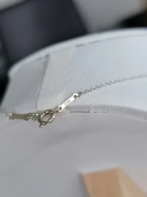 Tiffany & Co. Halskette Eternal Circle | LOOP-Marktplatz