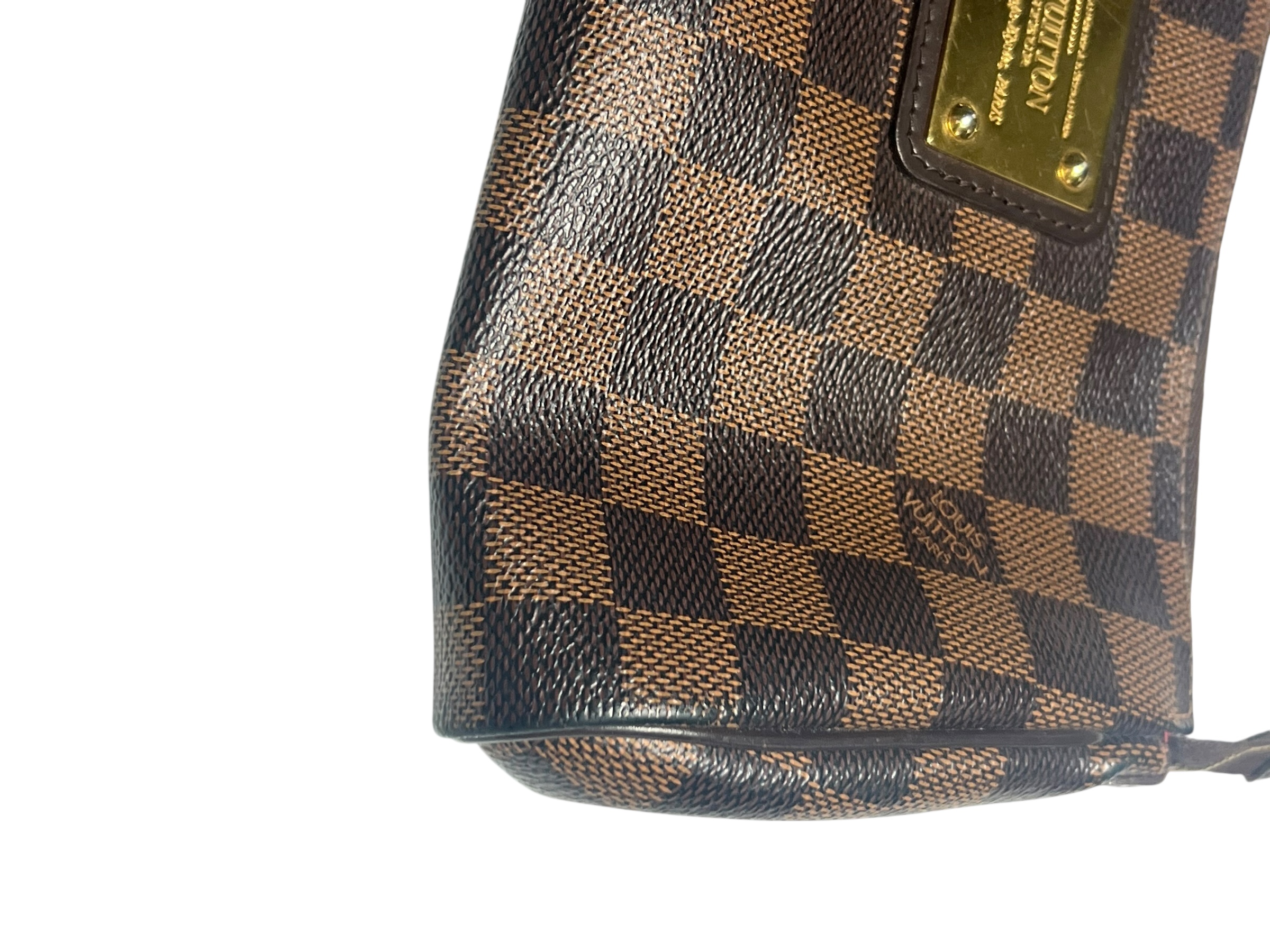 Louis Vuitton bag