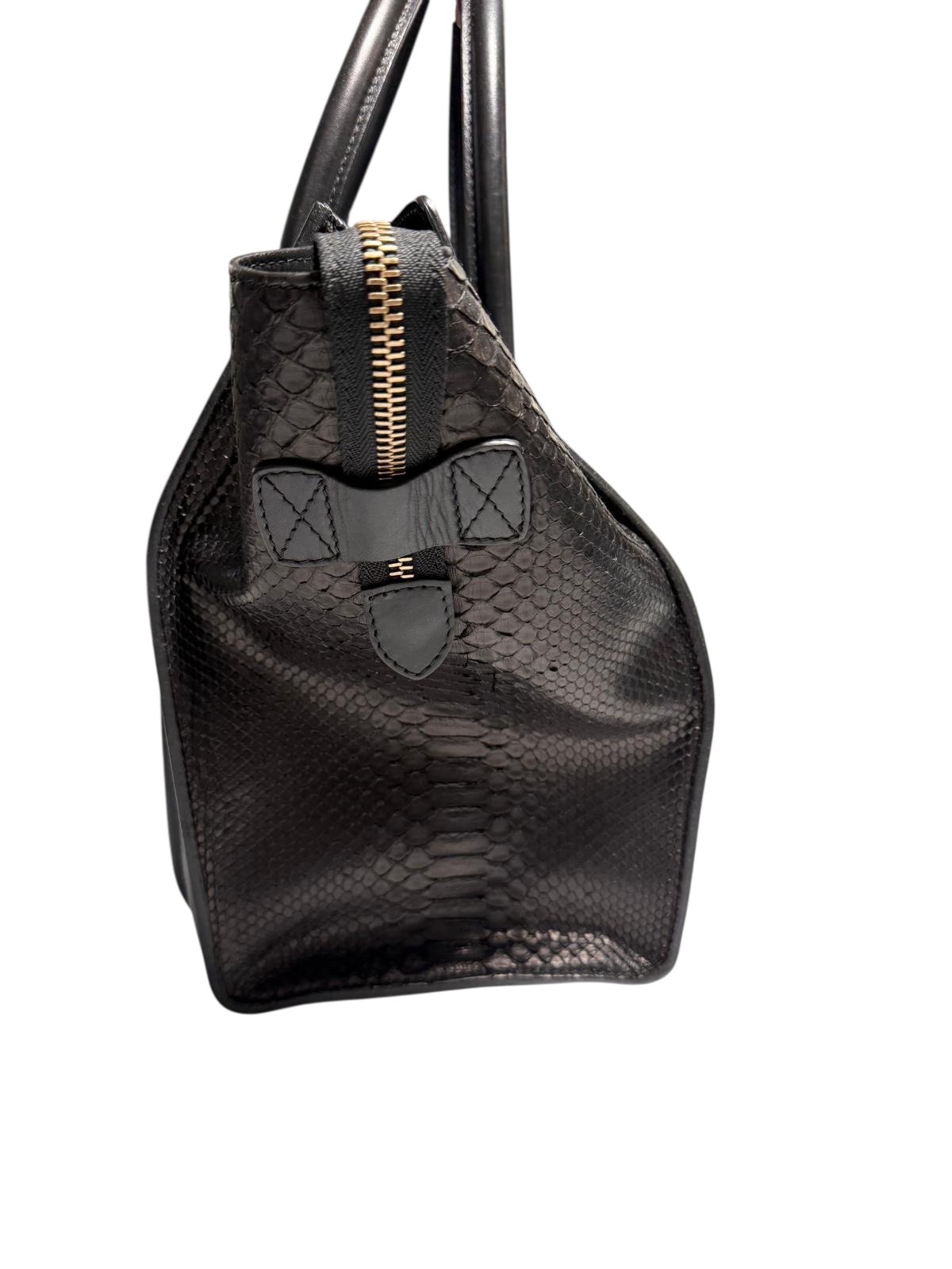 Celine Luggage Bag