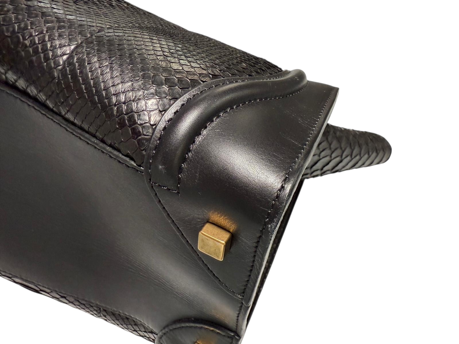 Celine Luggage Bag
