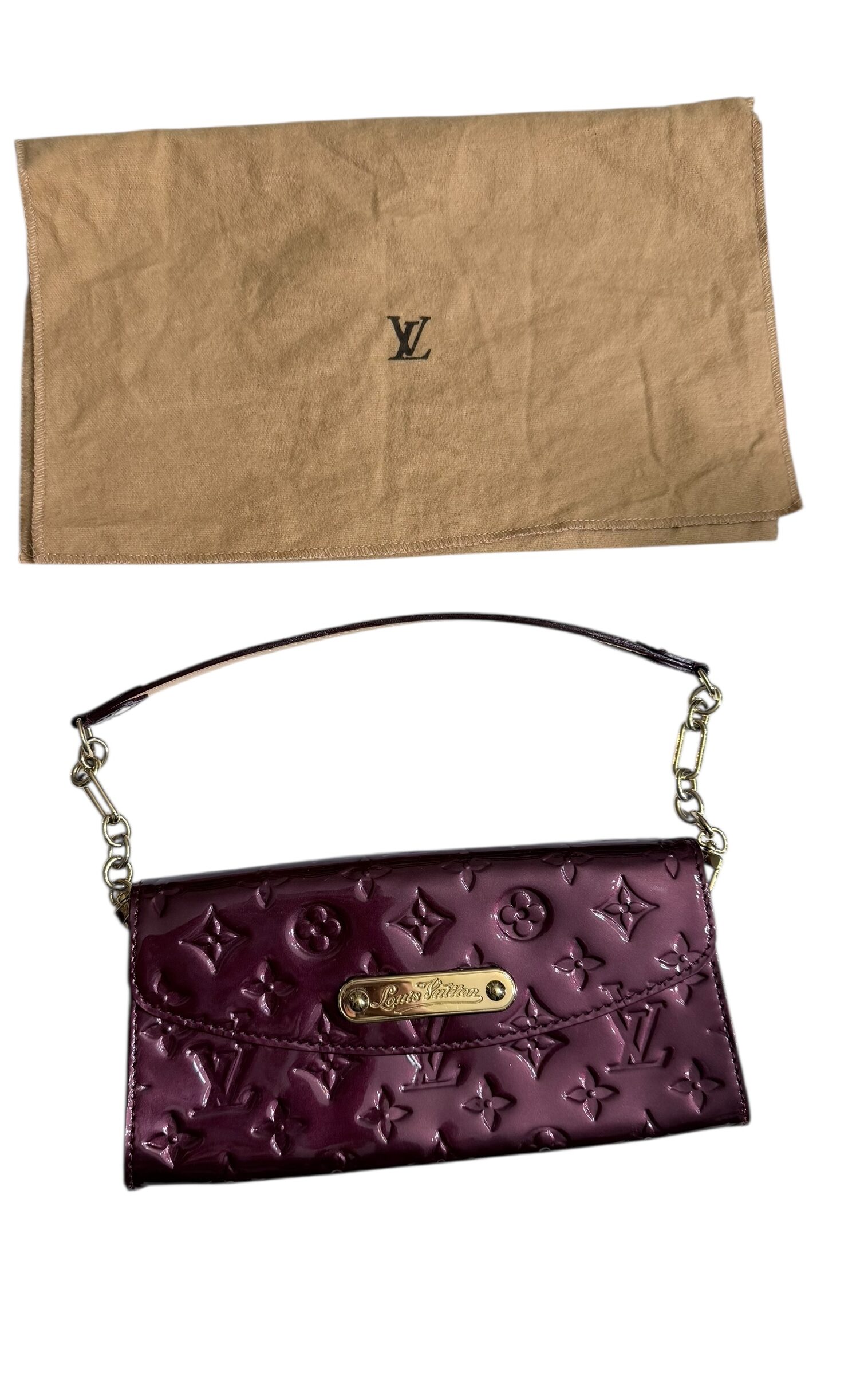 Louis Vuitton Clutch Bag
