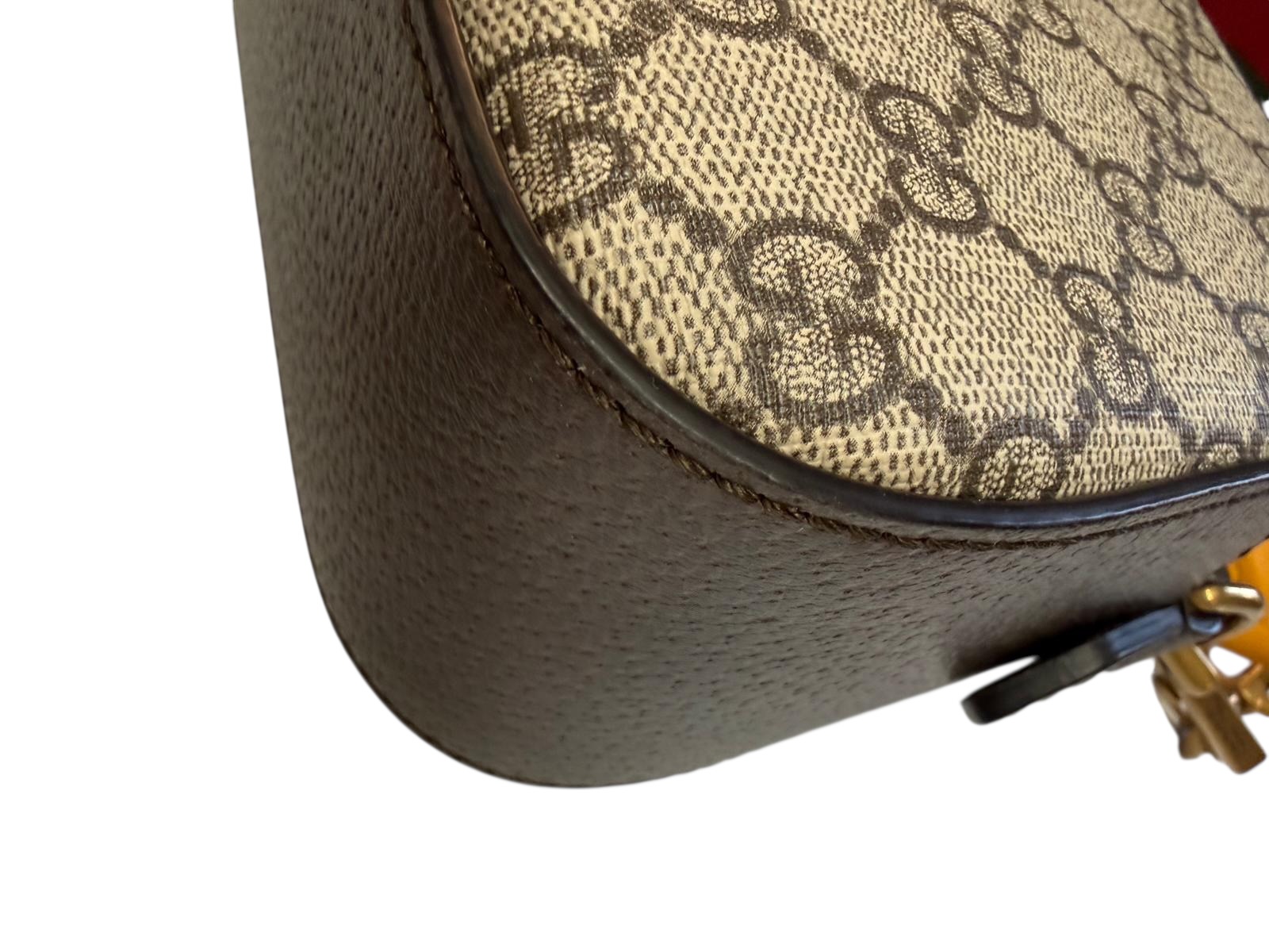 Gucci bag