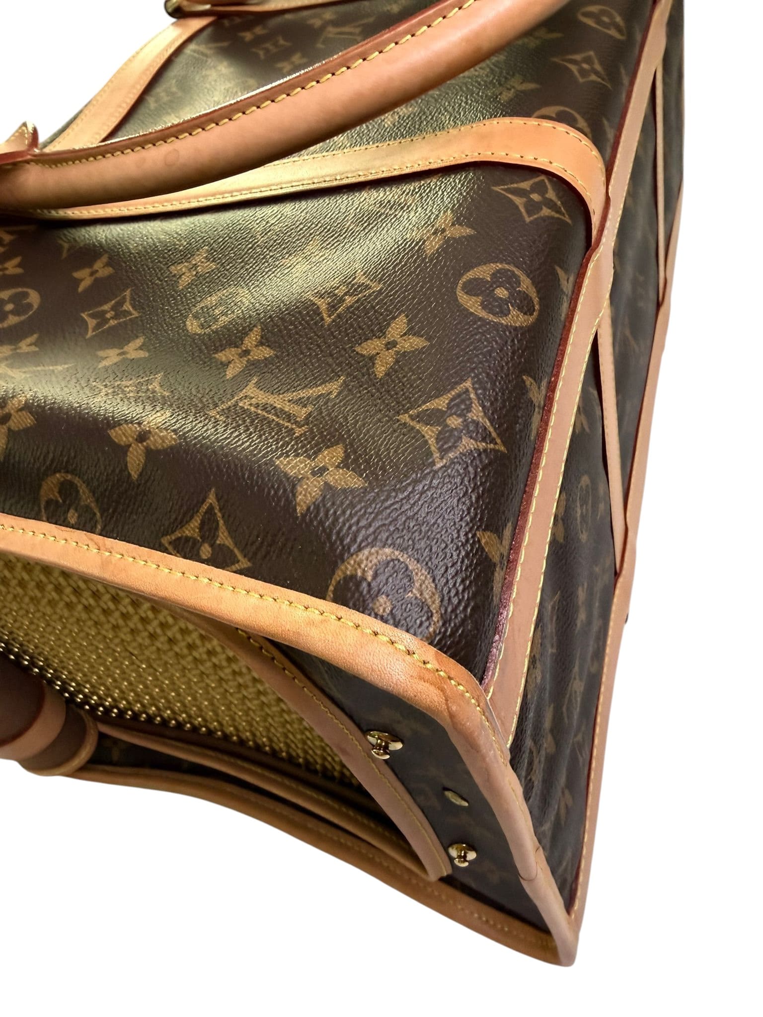 Louis Vuitton Dog Travel Bag