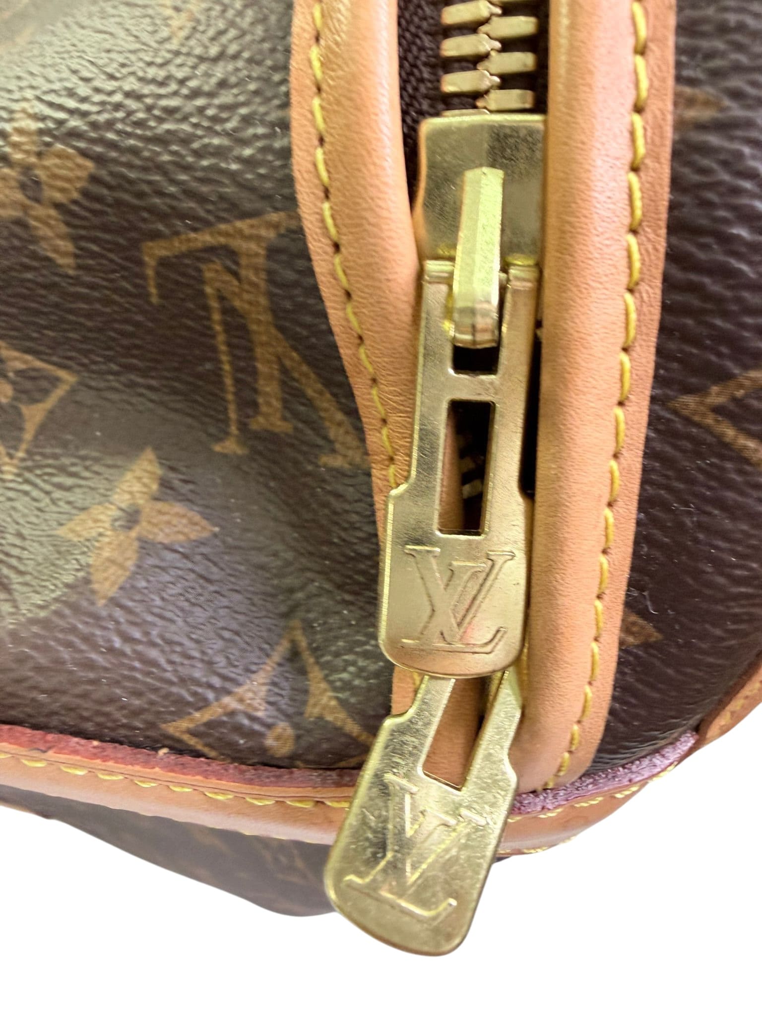 Louis Vuitton Dog Travel Bag