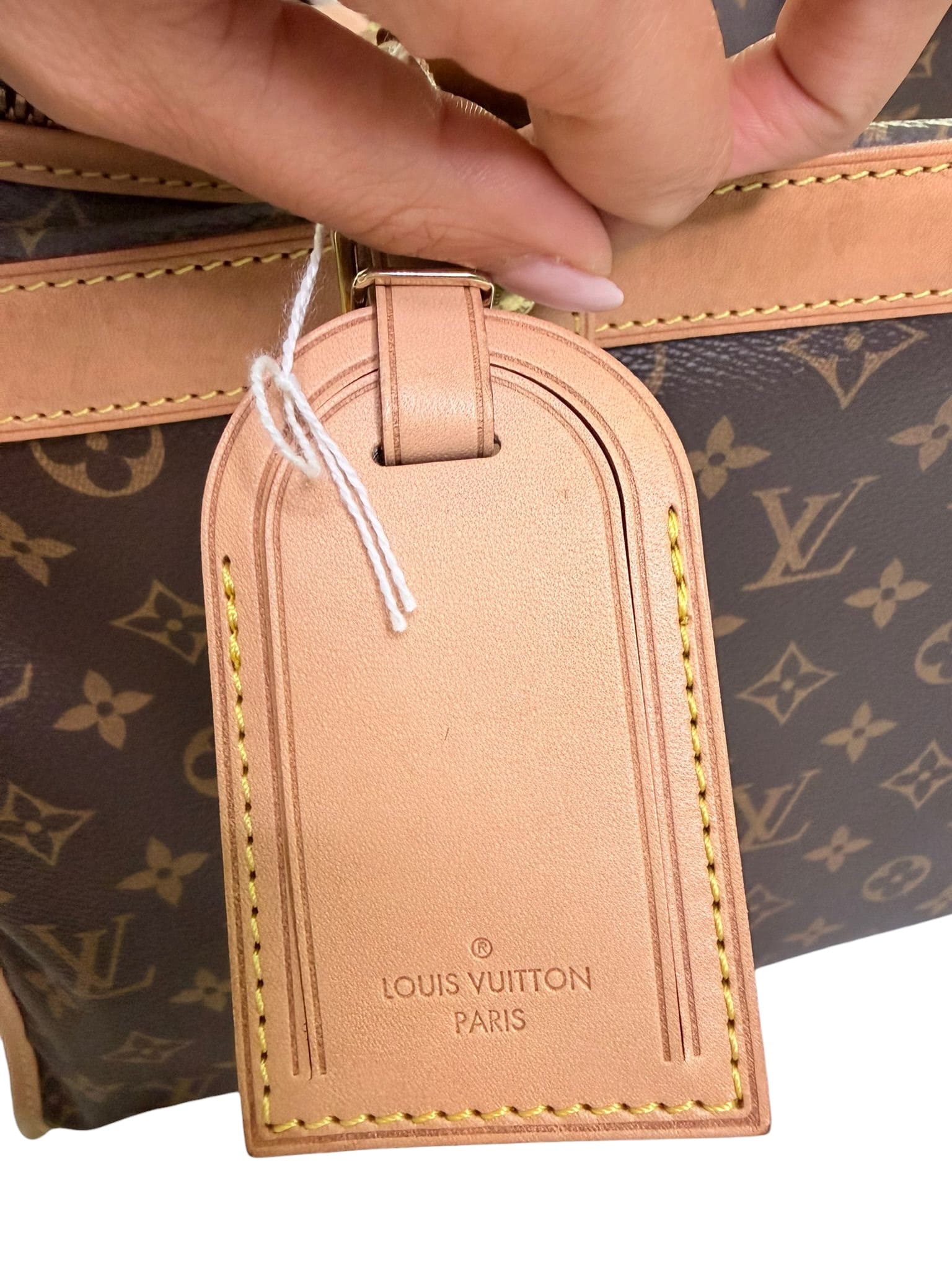 Louis Vuitton Dog Travel Bag | LOOP-Marktplatz